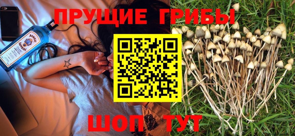 Ликино-Дулёво  Псилоцибиновые грибы ЛСД  Вход с VPN 